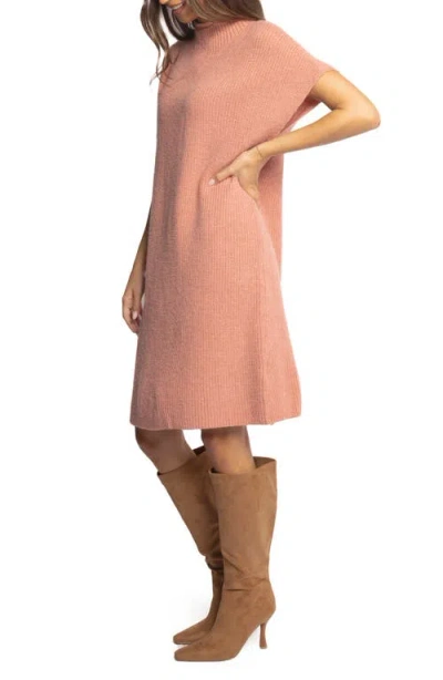 Petal And Pup Petal & Pup Wright Mock Neck Sweater Dress In Pink