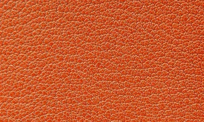 Graphic Image Leather Passport Cover In Orange