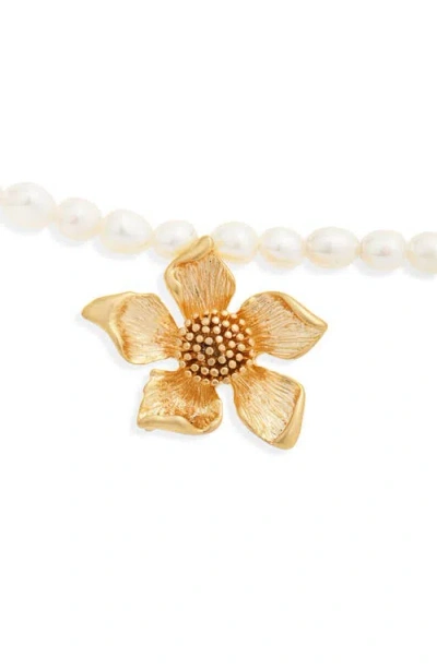 Vidakush Golden Flower Freshwater Pearl Belly Chain In Gold