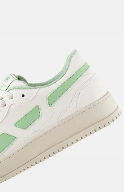 Saye M82 Hybrid In Green