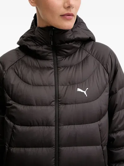 Puma Hooded Logo-detail Puffer Jacket In Black