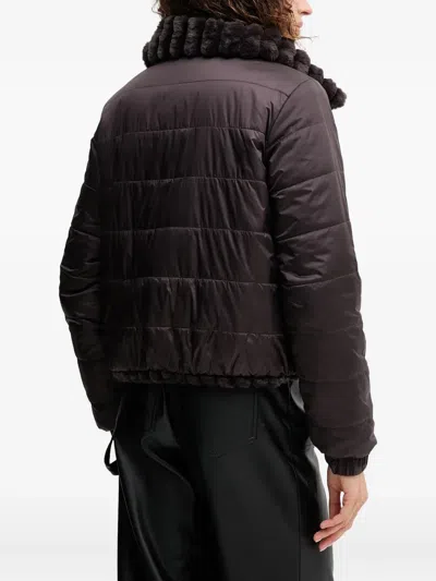 Save The Duck Textured Pufer Jacket In Brown