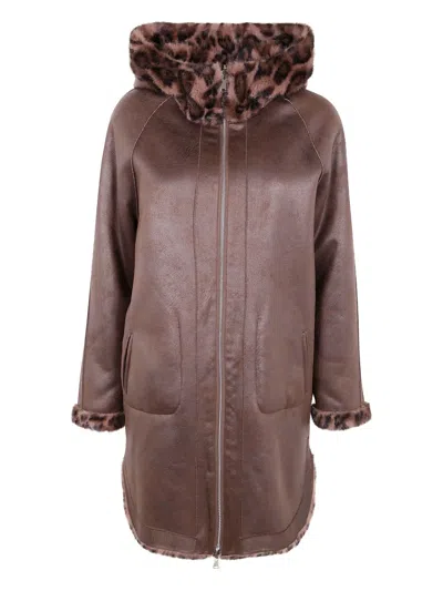 Betta Corradi Hooded Leopard Jacket In Brown