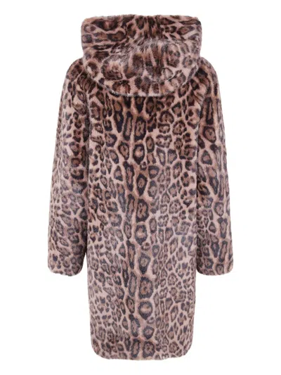 Betta Corradi Hooded Leopard Jacket In Brown