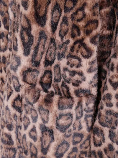 Betta Corradi Hooded Leopard Jacket In Brown