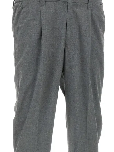 Devore Pleated Tailored Trousers In Gray