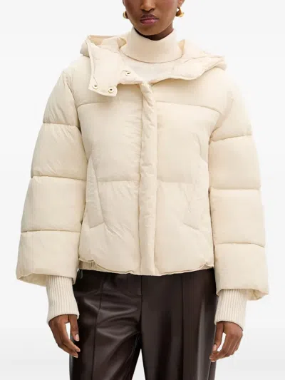 Silvian Heach Hooded Padded Jacket In Neutral