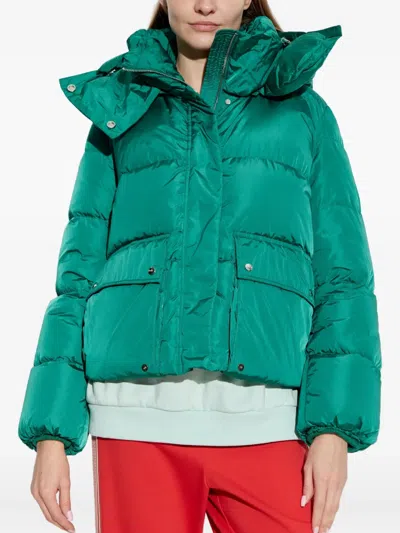 Add Hooded Puffer Jacket In Green