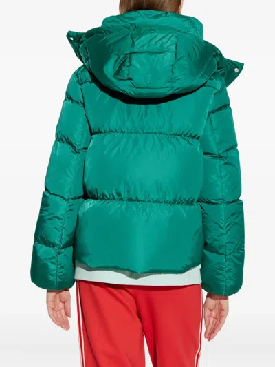 Add Hooded Puffer Jacket In Green
