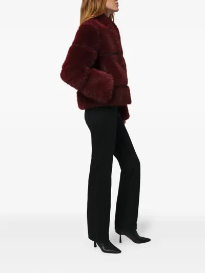 Apparis Sai Sable Coat Merlot In Burgundy