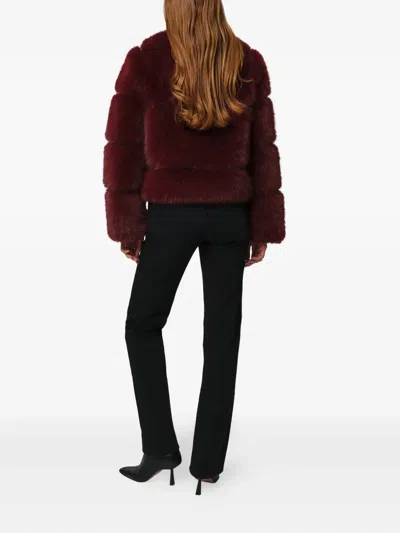 Apparis Sai Sable Coat Merlot In Burgundy