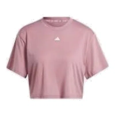 Adidas Originals (wmns) Adidas Studio T-shirt Asia Sizing 'pink'