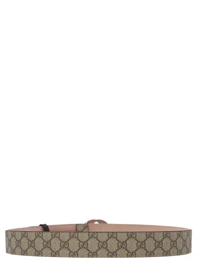 Gucci Gg Interlocking Belts Beige In Brown