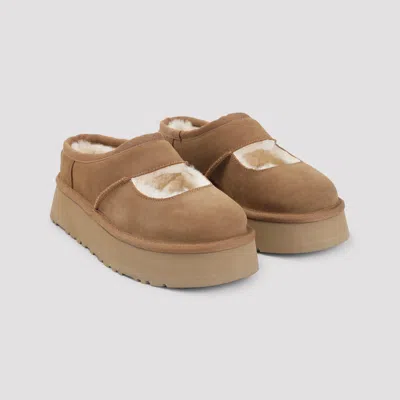 Ugg Suede Slippers With Plush Mutton Lining In Brown