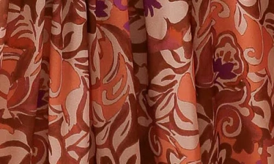 Flying Tomato Print Long Sleeve Maxi Dress In Brown