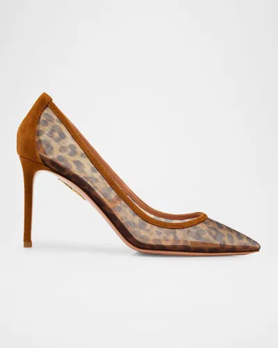 Aquazzura Leopard Printed Stiletto Heel Pumps In Brown
