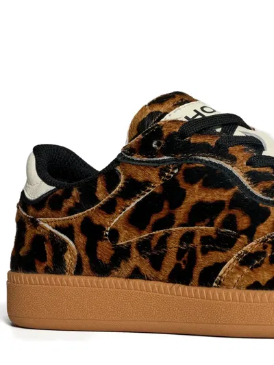 Hoff Womens Alley Leopard Pony Hair Leather Trainers In Animal Print