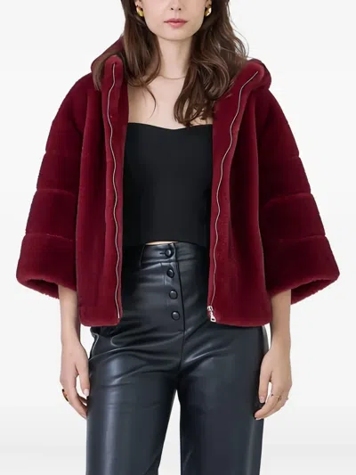Giovanni Paris Angelica Hooded Jacket In Burgundy