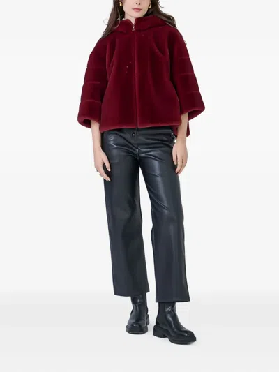 Giovanni Paris Angelica Hooded Jacket In Burgundy