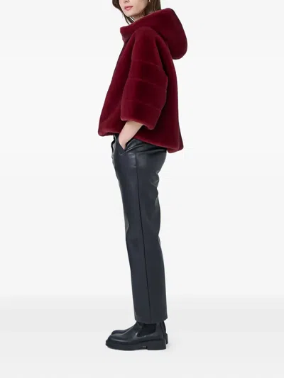 Giovanni Paris Angelica Hooded Jacket In Burgundy