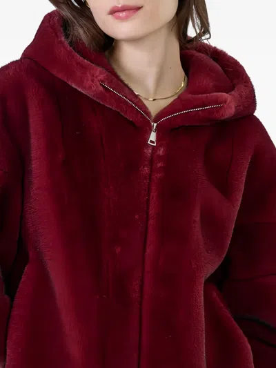 Giovanni Paris Angelica Hooded Jacket In Burgundy