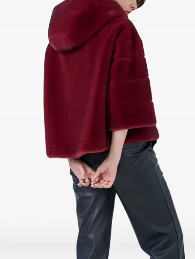 Giovanni Paris Angelica Hooded Jacket In Burgundy