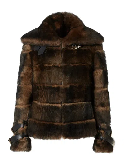 Fendi Women Color Pequin Motif Fur Aviator Jacket In Brown