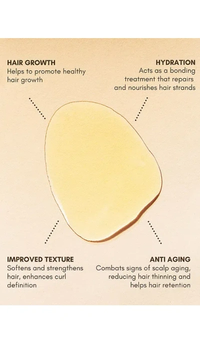 Bur Bur Mini Growing Season Burdock Hair Growth And Repair Oil In Brown