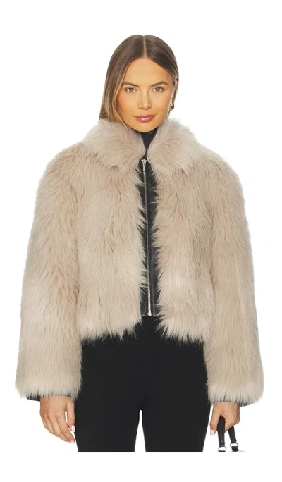 Et Ochs Yaes Combo Jacket In Black