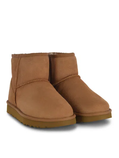 Ugg Boots In Brown