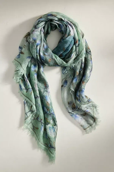 Terrain Floral Cashmere + Modal Scarf In Green