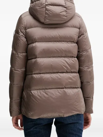 Bomboogie Rome Hooded Padded Jacket In Neutral