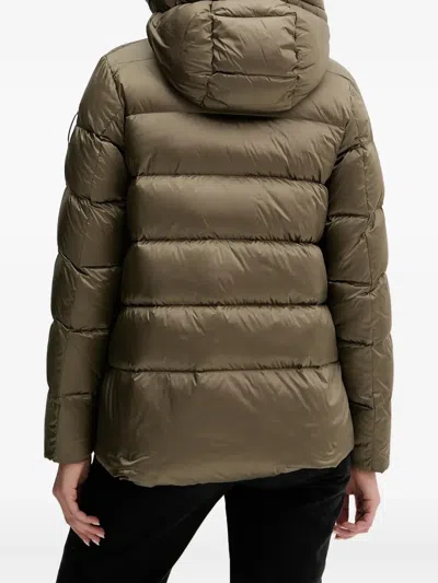 Bomboogie Rome Hooded Padded Jacket In Green