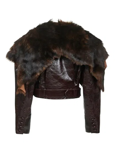 Chloé Shiny Leather Crop Moto Jacket With Removable Lamb Shearling Collar In Brown