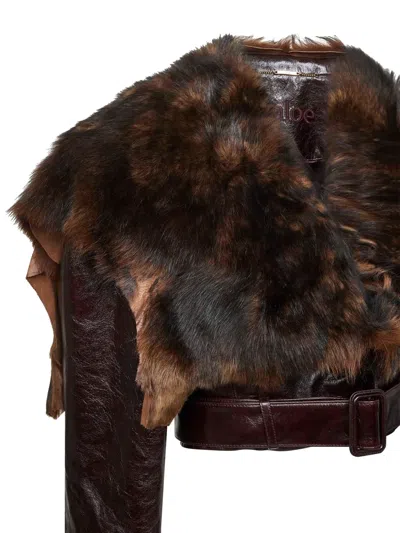 Chloé Shiny Leather Crop Moto Jacket With Removable Lamb Shearling Collar In Brown