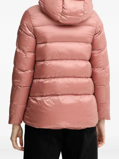 Bomboogie Rome Hooded Padded Jacket In Pink