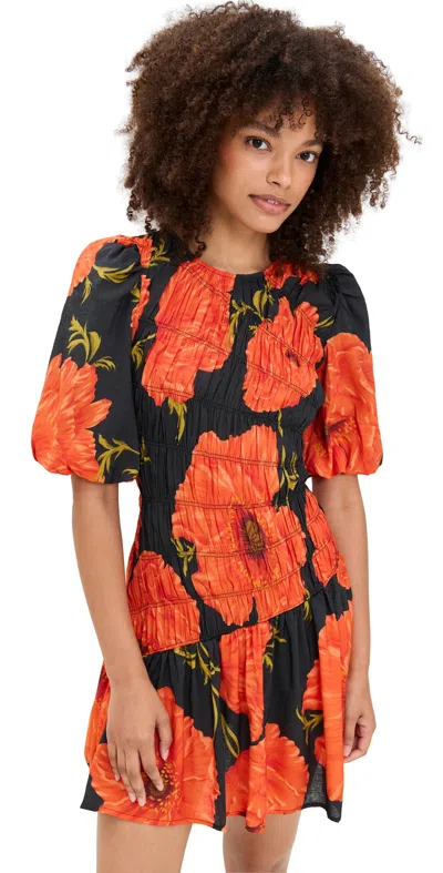 Never Fully Dressed Black Poppy Mini Nara Dress Black In Multi