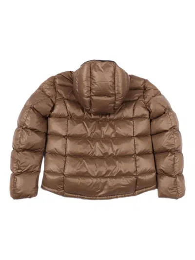 Blauer Ansel Coat In Brown