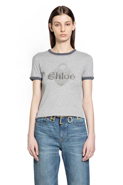 Chloé Baby Fit T-shirt With Logo In Cotton Jersey In Gray