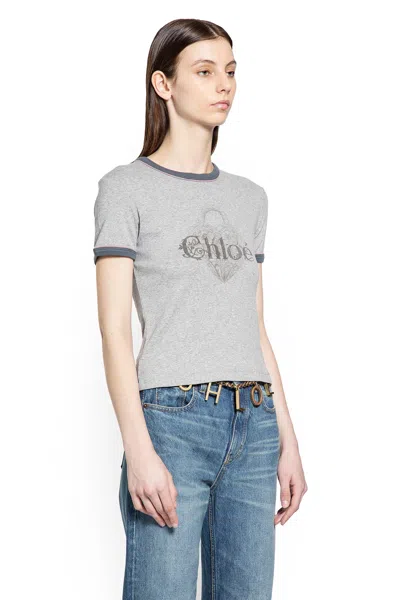 Chloé Baby Fit T-shirt With Logo In Cotton Jersey In Gray