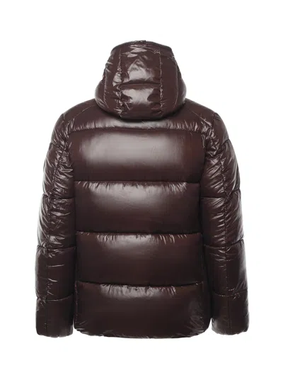 Save The Duck Edgard Nylon Down Jacket In Brown