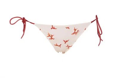 Fendi Bird Print Low-rise Tie-side Bikini Bottom In Multi
