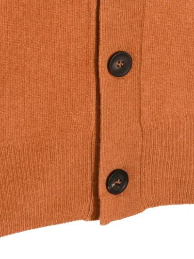 Altea Camel Wool Knitwear In Brown