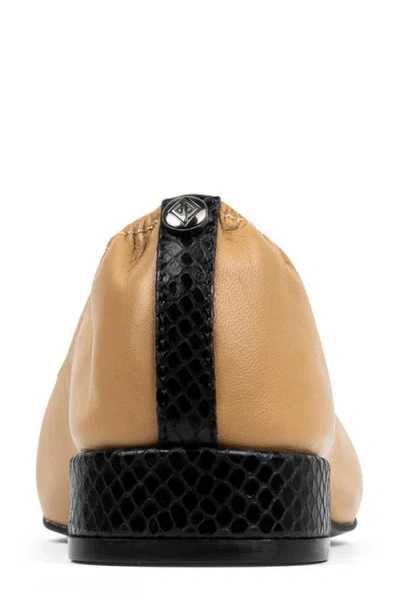 Donald Pliner Ladonna Pointed Toe Pump In Multi