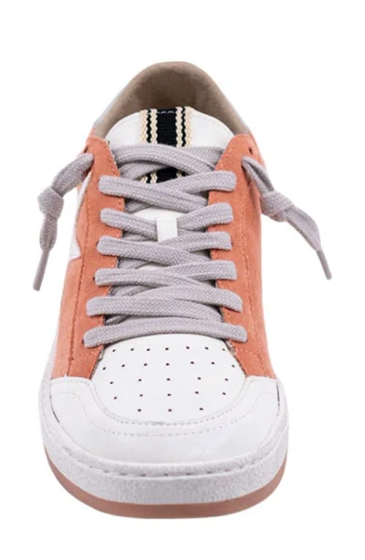 Shushop Paz Low Top Sneaker In Multi