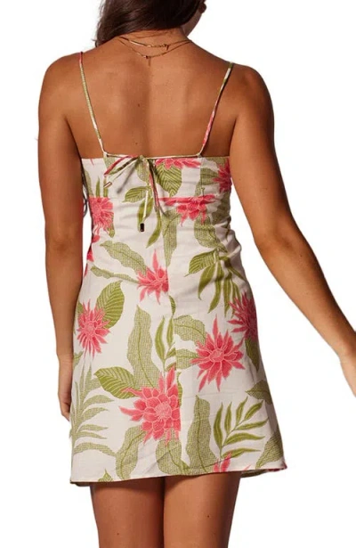 Tori Richard Full Of Life Greta Dress In Multi