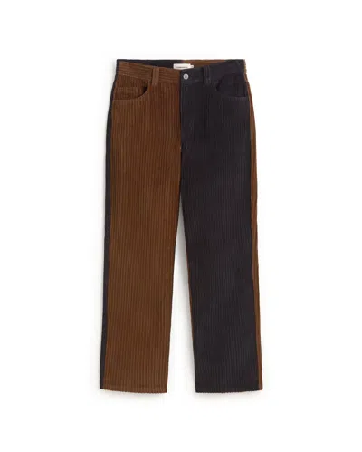 Thinking Mu Men's Navy And Brown Straight Corduroy David Pants In Multi
