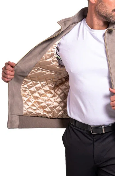 Maceoo Resistance Mixed Media Suede Jacket In Gray