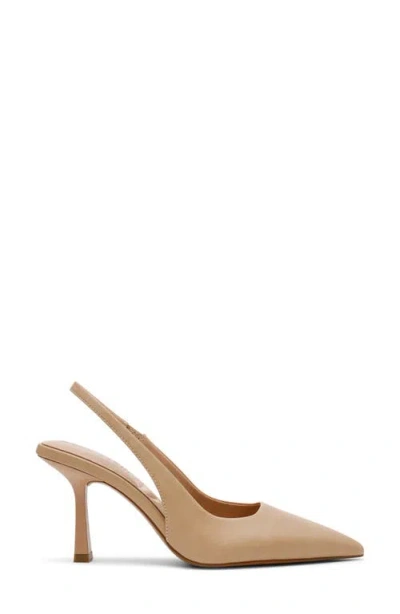 Anne Klein Women's Akitzy Pointed Toe Pumps In Brown