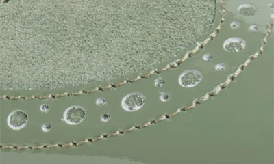 The Office Of Angela Scott Mrs. Russel Pointed Toe Pump In Green